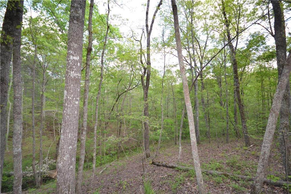 Land for Sale at Spence Road Buchanan, Georgia 30113 United States