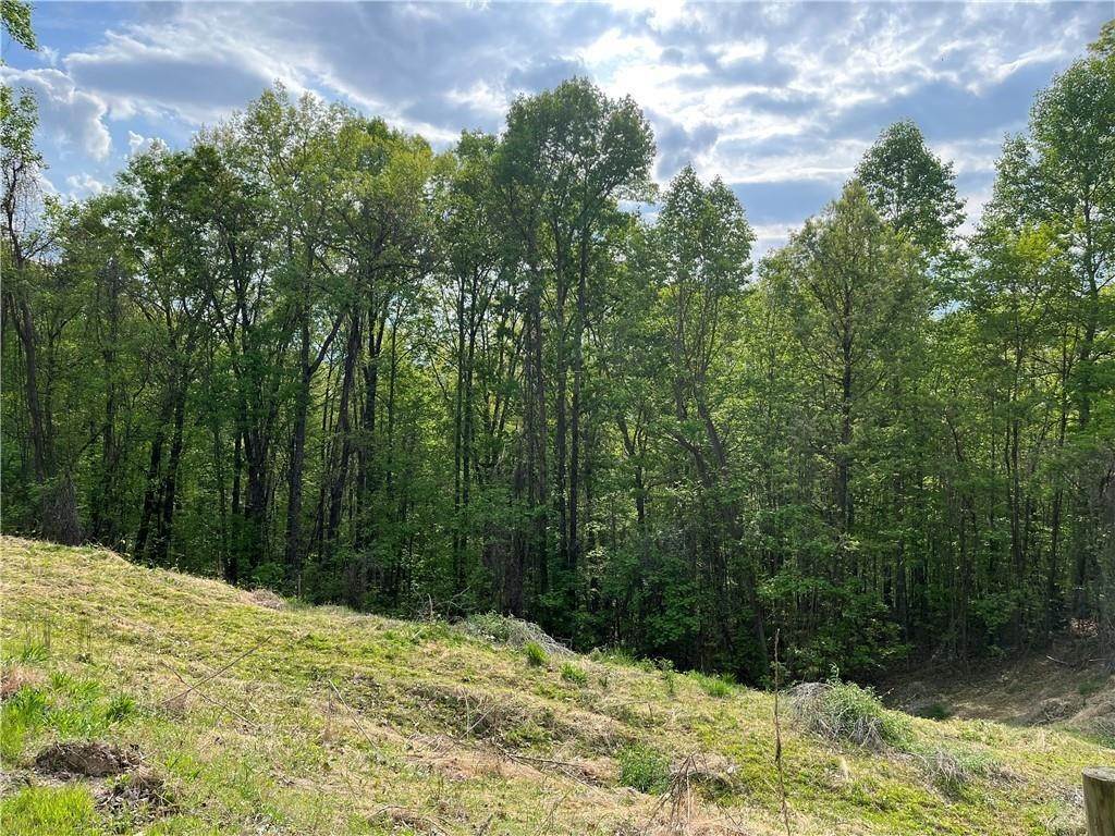 Other for Sale at Lot 41 Sunny View Drive Blairsville, Georgia 30512 United States