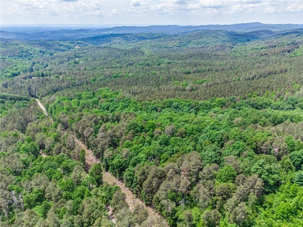 2. Land for Sale at Pin Hook Road Ranger, Georgia 30734 United States