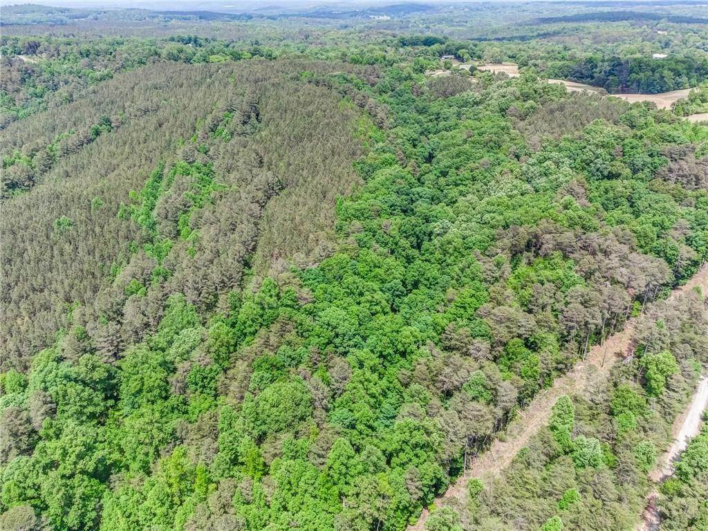 9. Land for Sale at Pin Hook Road Ranger, Georgia 30734 United States