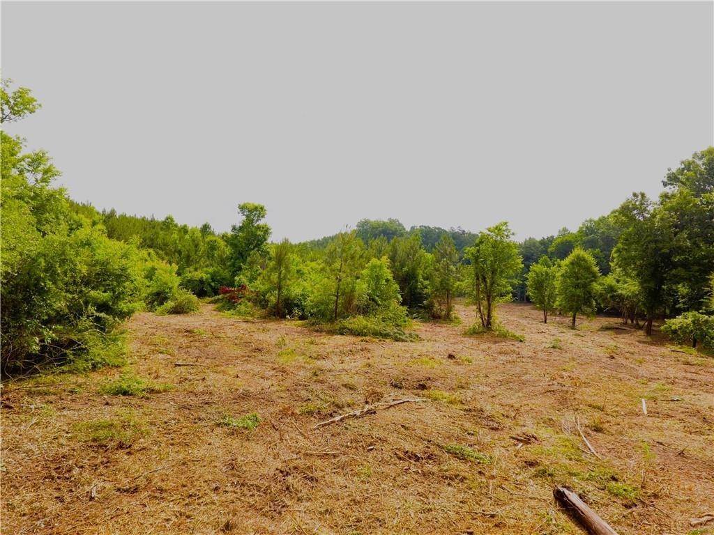 17. Land for Sale at 2 Roy Brown Road Buchanan, Georgia 30113 United States