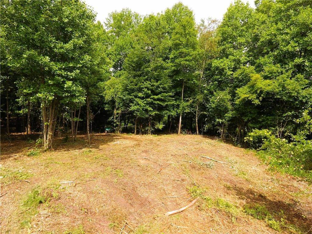 16. Land for Sale at 2 Roy Brown Road Buchanan, Georgia 30113 United States