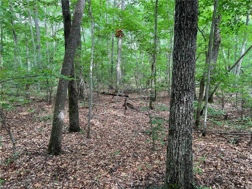 19. Land for Sale at Highway 157 Road Menlo, Georgia 30731 United States