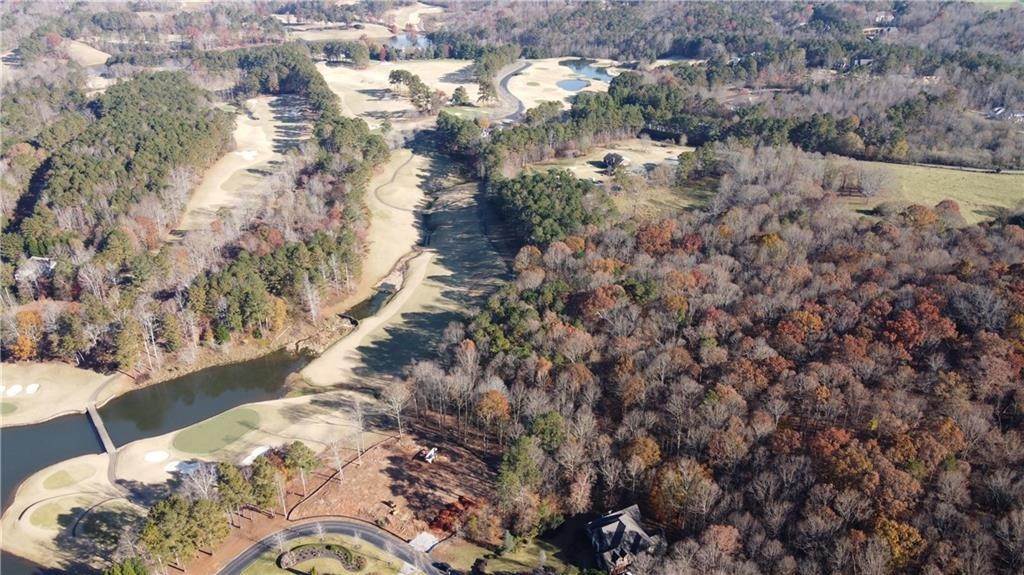 7. Single Family Homes for Sale at 251 Hawks Lake Drive Ball Ground, Georgia 30107 United States