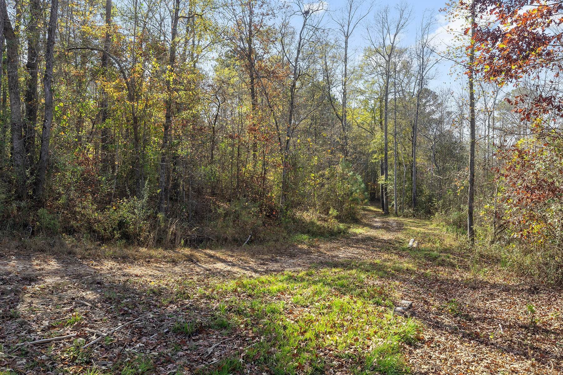 Land for Sale at Live in Harmony with Nature in Chattahoochee Hills 0 Hutcheson Ferry Road, Tract D Chattahoochee Hills, Georgia 30268 United States